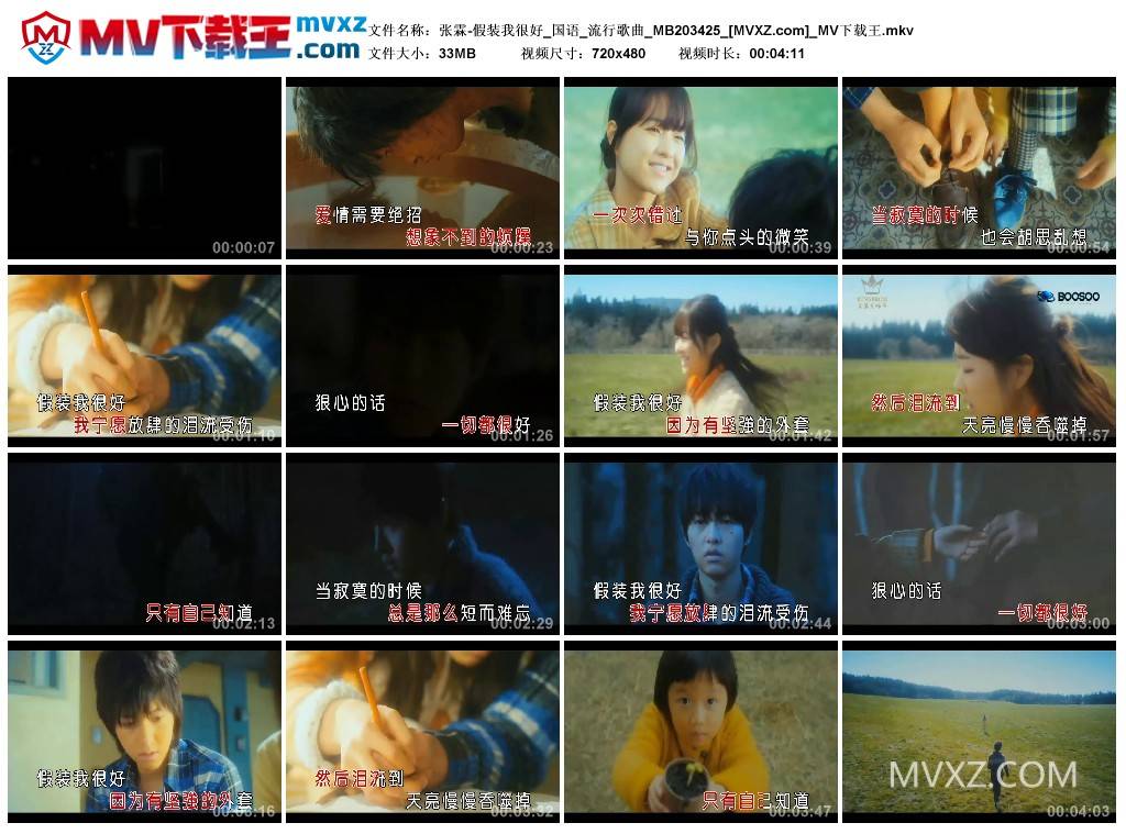 张霖-假装我很好_国语_流行歌曲_MB203425